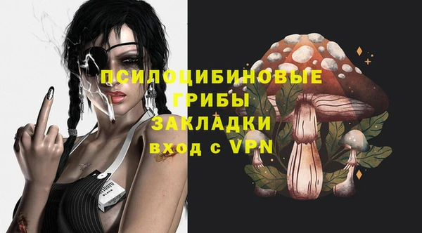 СК Верхний Тагил