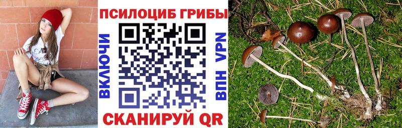 Купить  Сосногорск  Псилоцибиновые грибы Psilocybine cubensis 